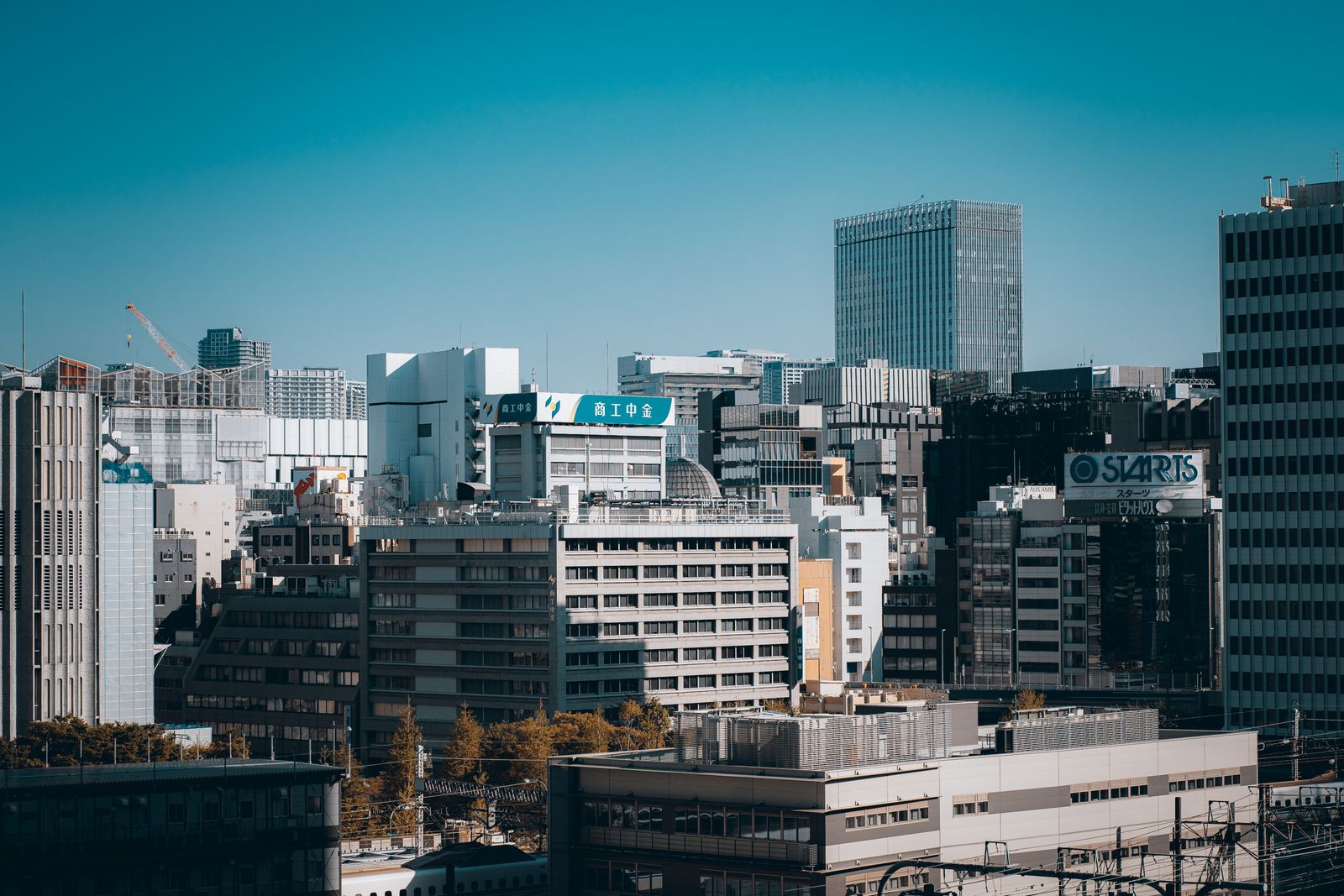 오피 3