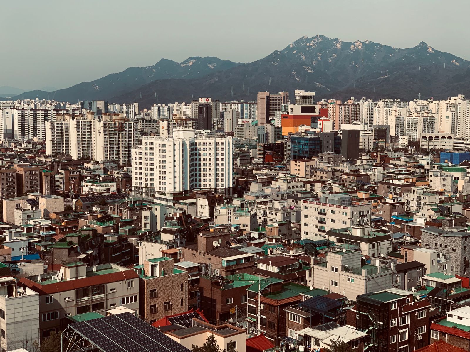 오피 1